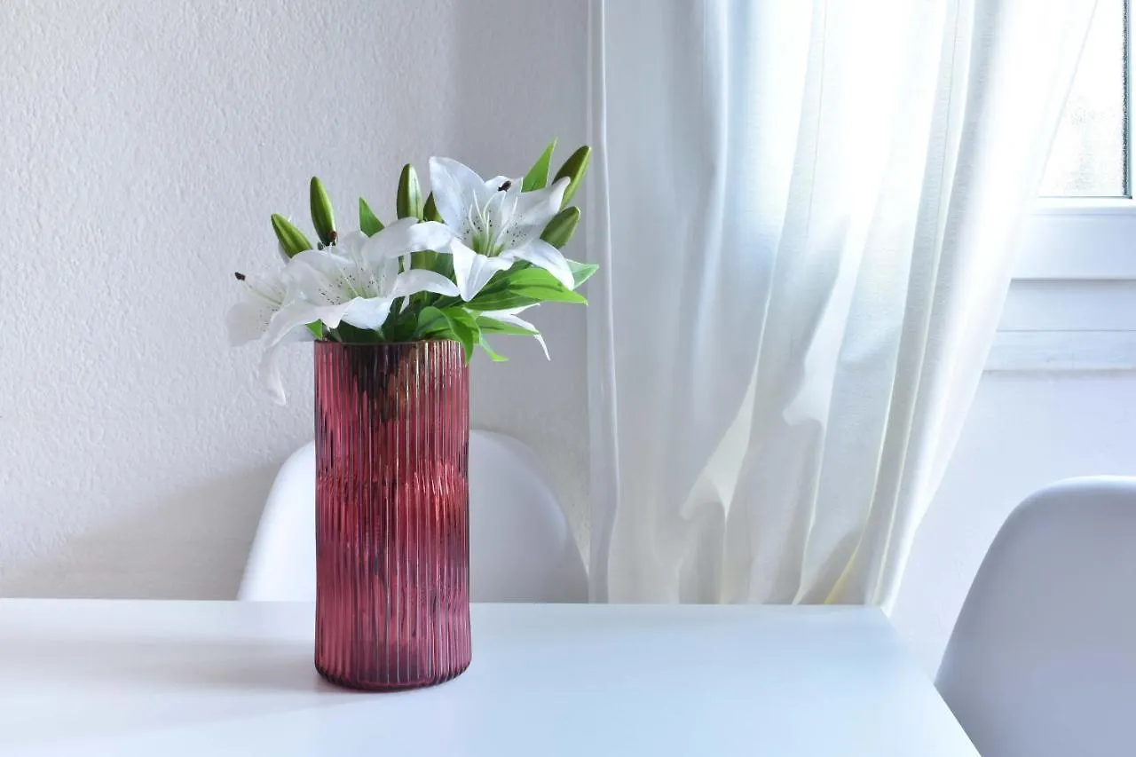 Romy Mortise Apartment 帕多瓦