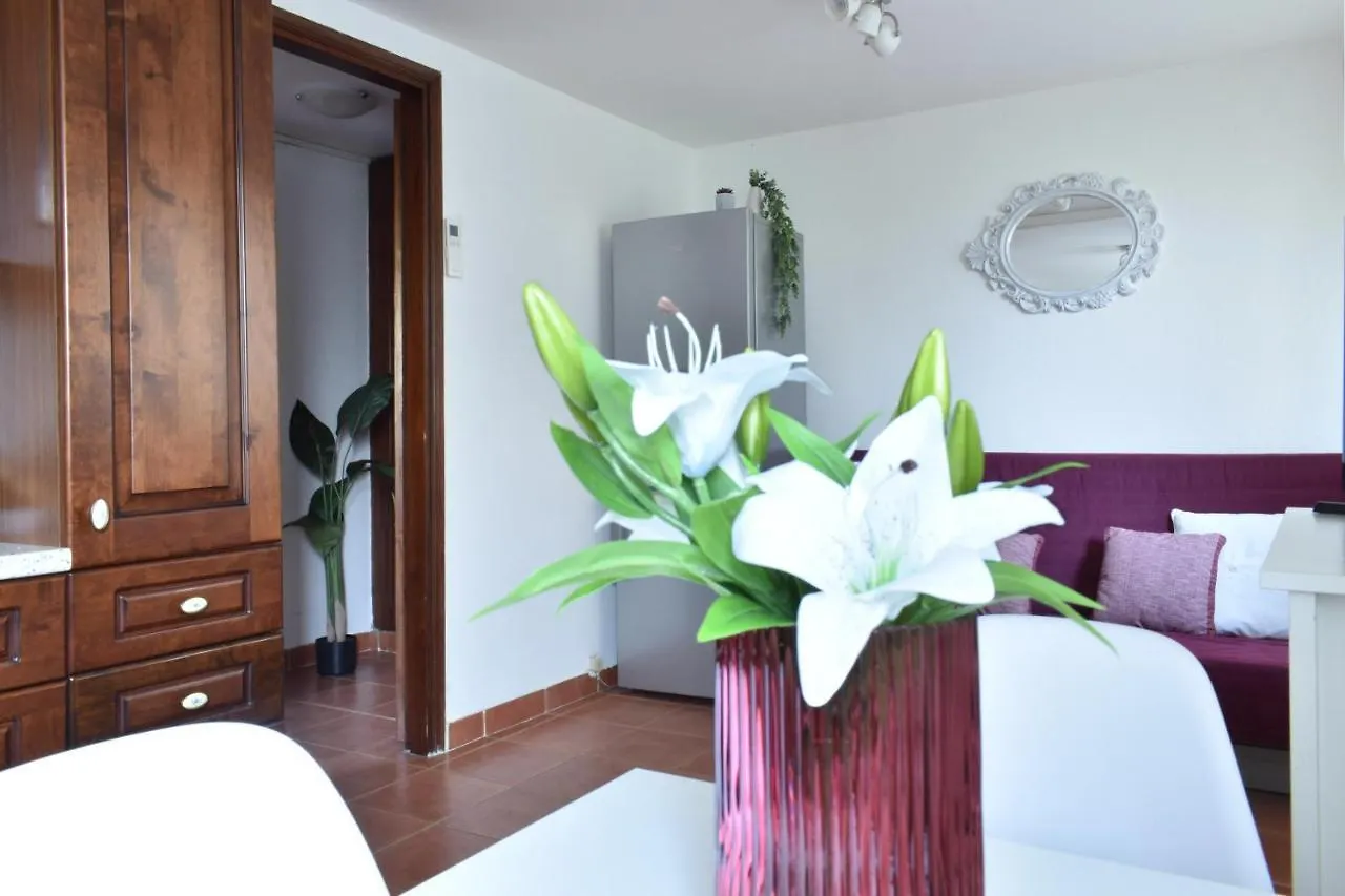 Romy Mortise Apartment 帕多瓦 意大利